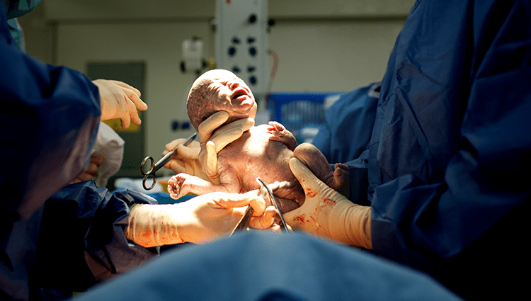 Obstetrics and Gynecological Surgery